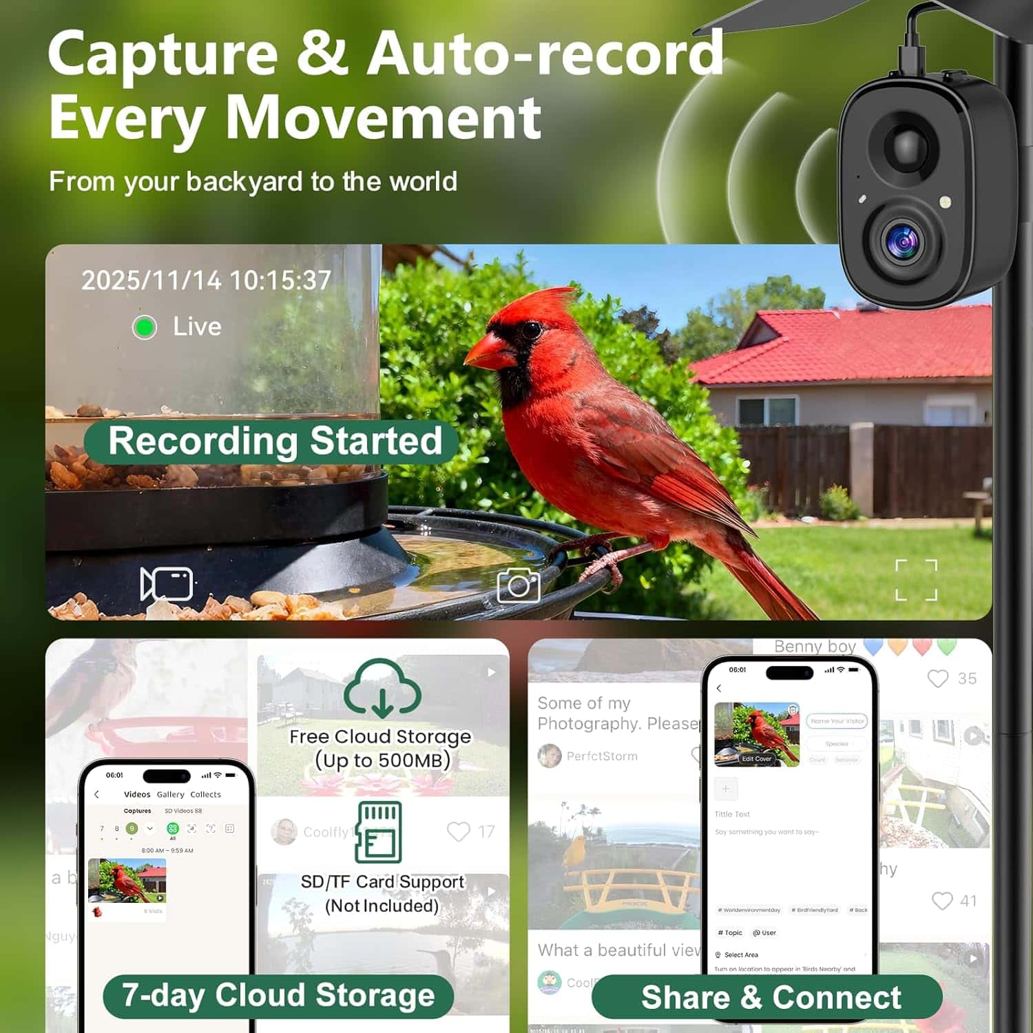 Camara Inteligente Para Comedero De Pajaros Wifi Y Panel Solar - Imagen 8
