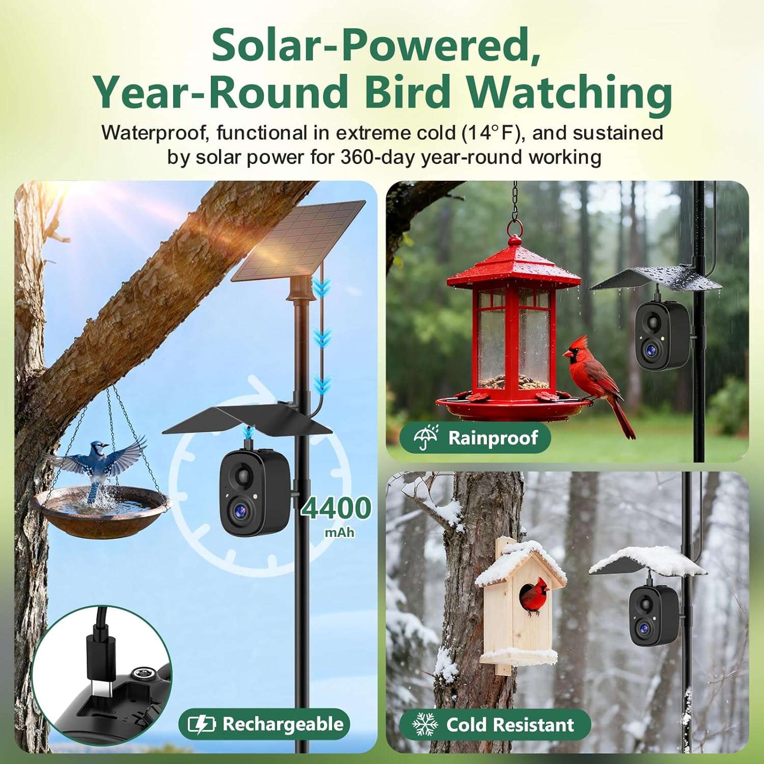 Camara Inteligente Para Comedero De Pajaros Wifi Y Panel Solar - Imagen 4