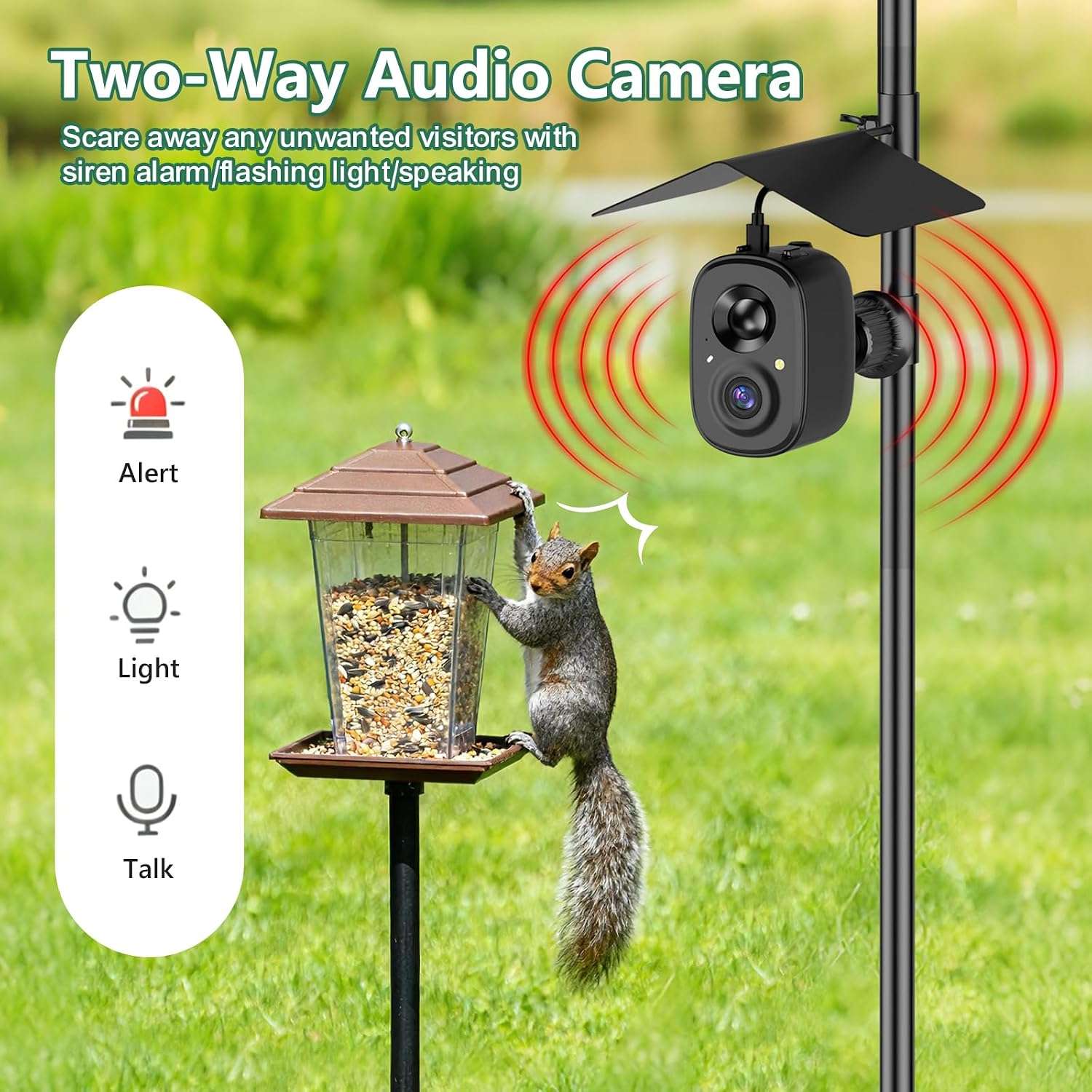 Camara Inteligente Para Comedero De Pajaros Wifi Y Panel Solar - Imagen 2
