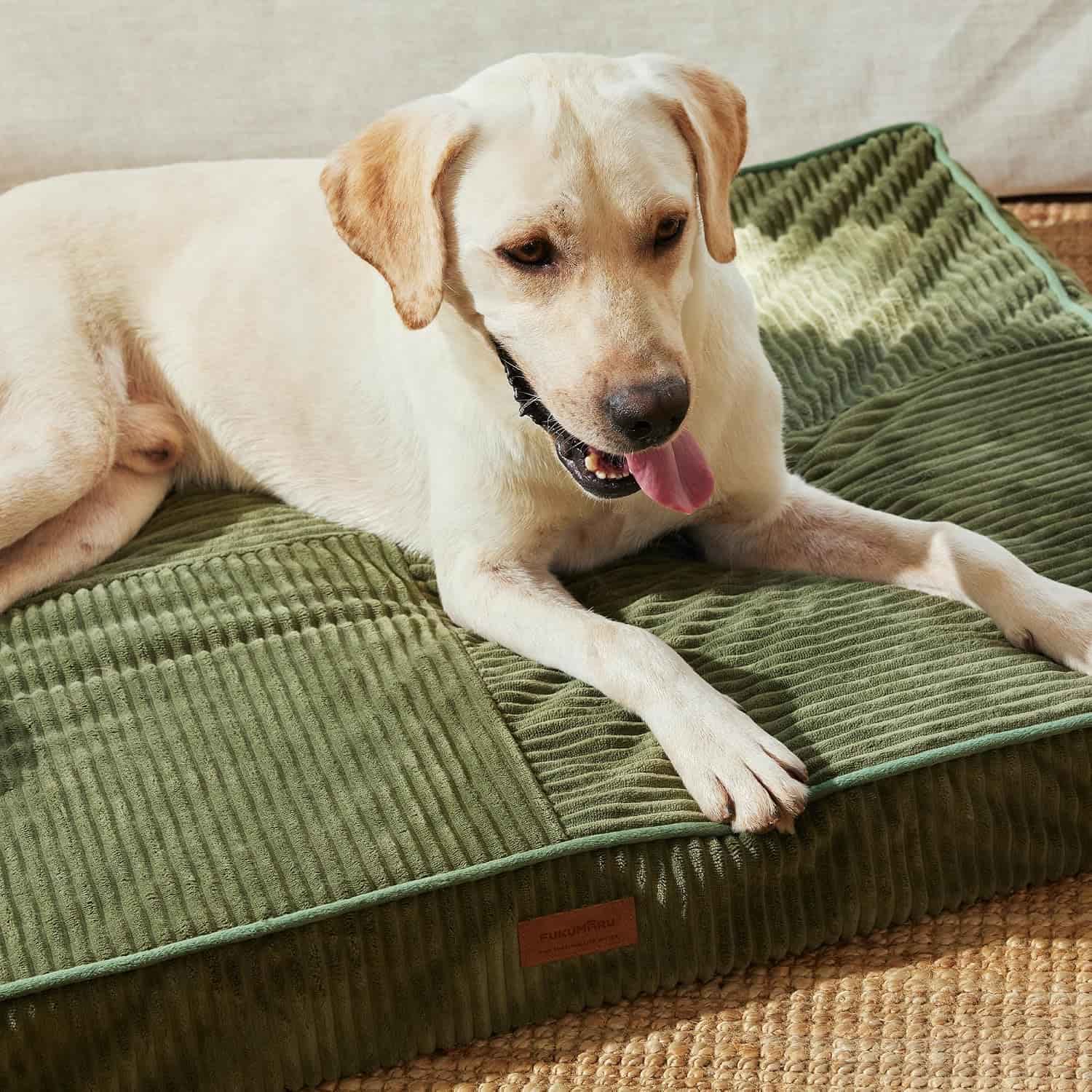 cama ortopedica de pana para perros grandes fukumaru con espuma gruesa y funda lavable