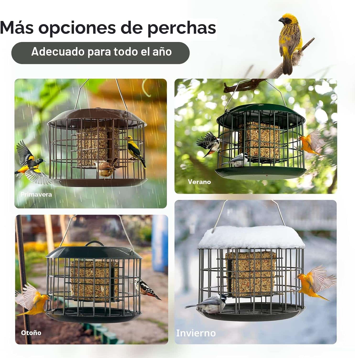 Comedero De Sebo Para Pajaros Anti Ardillas Metalico Negro 3.81cm - Imagen 6