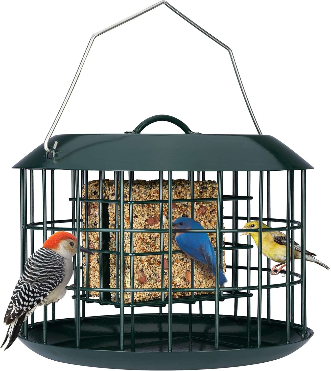 Comedero De Sebo Para Pajaros Anti Ardillas Metalico Negro 3.81cm - Imagen 9