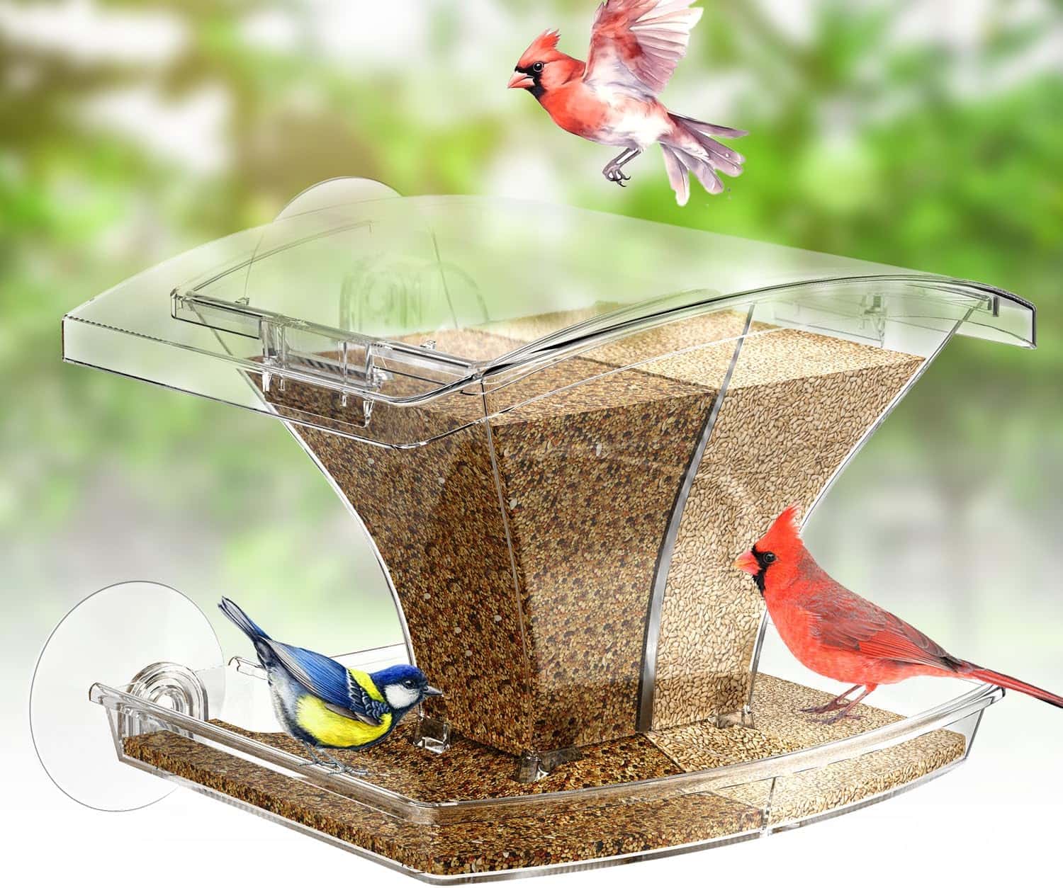 comedero transparente de ventana para pajaros con ventosas fuertes y almacenamiento impermeable