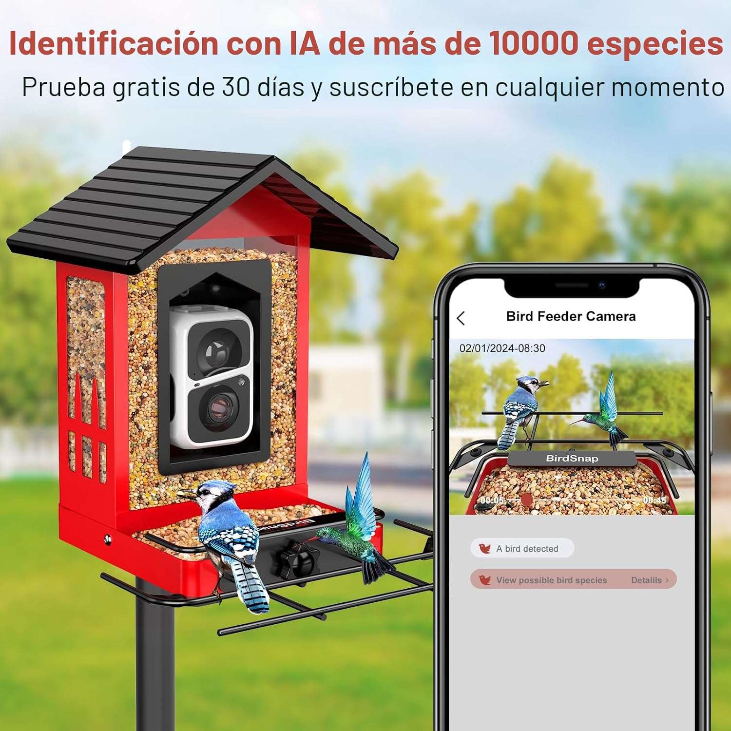 comedero inteligente metalico de exterior para pajaros con camara de resolucion 2k