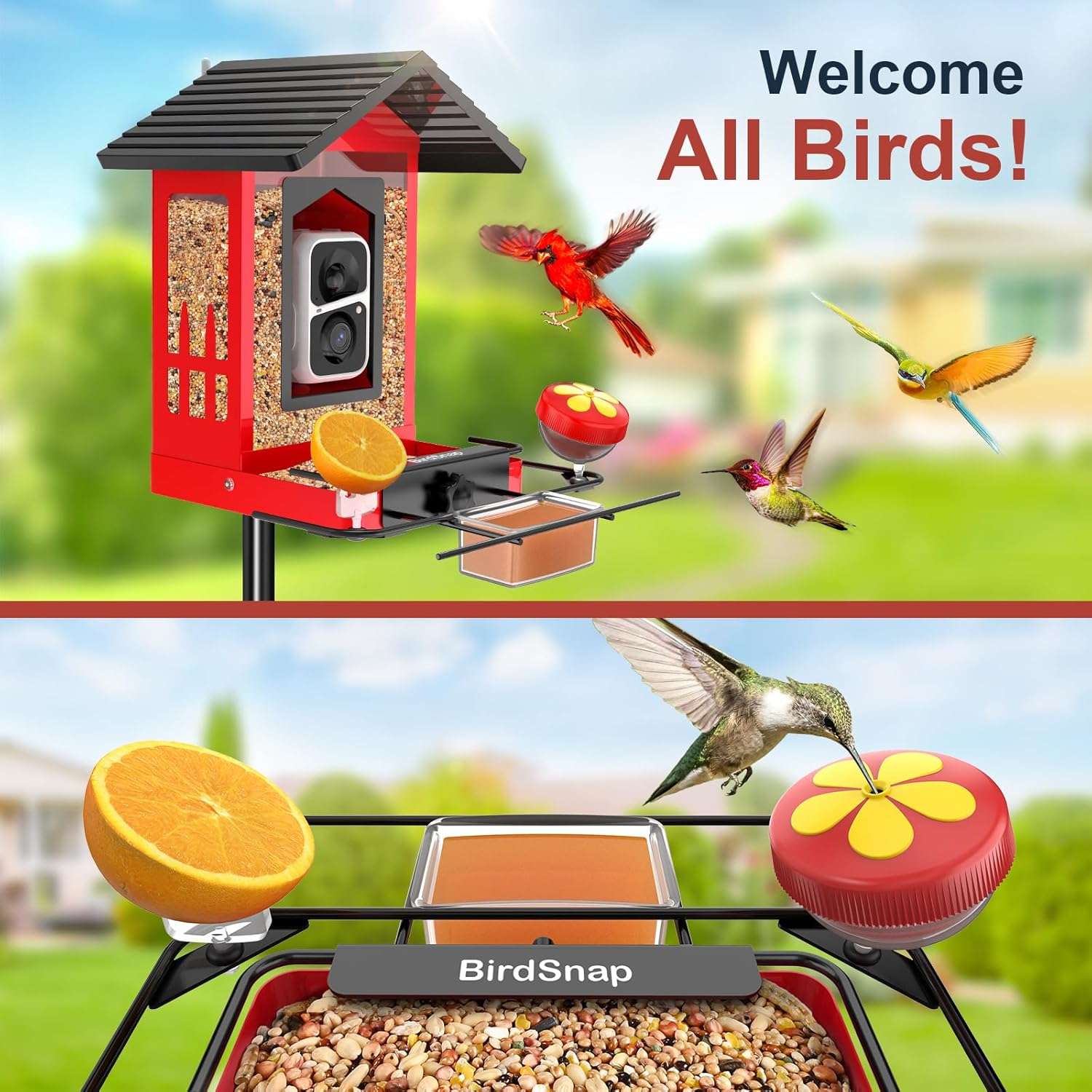 comedero inteligente metalico de exterior para pajaros con camara de resolucion 2k