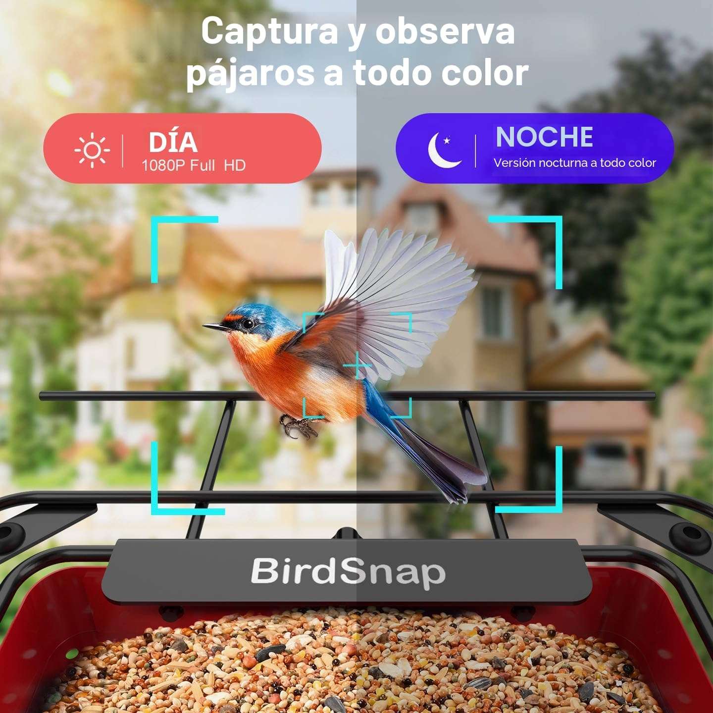 comedero inteligente metalico de exterior para pajaros con camara de resolucion 2k