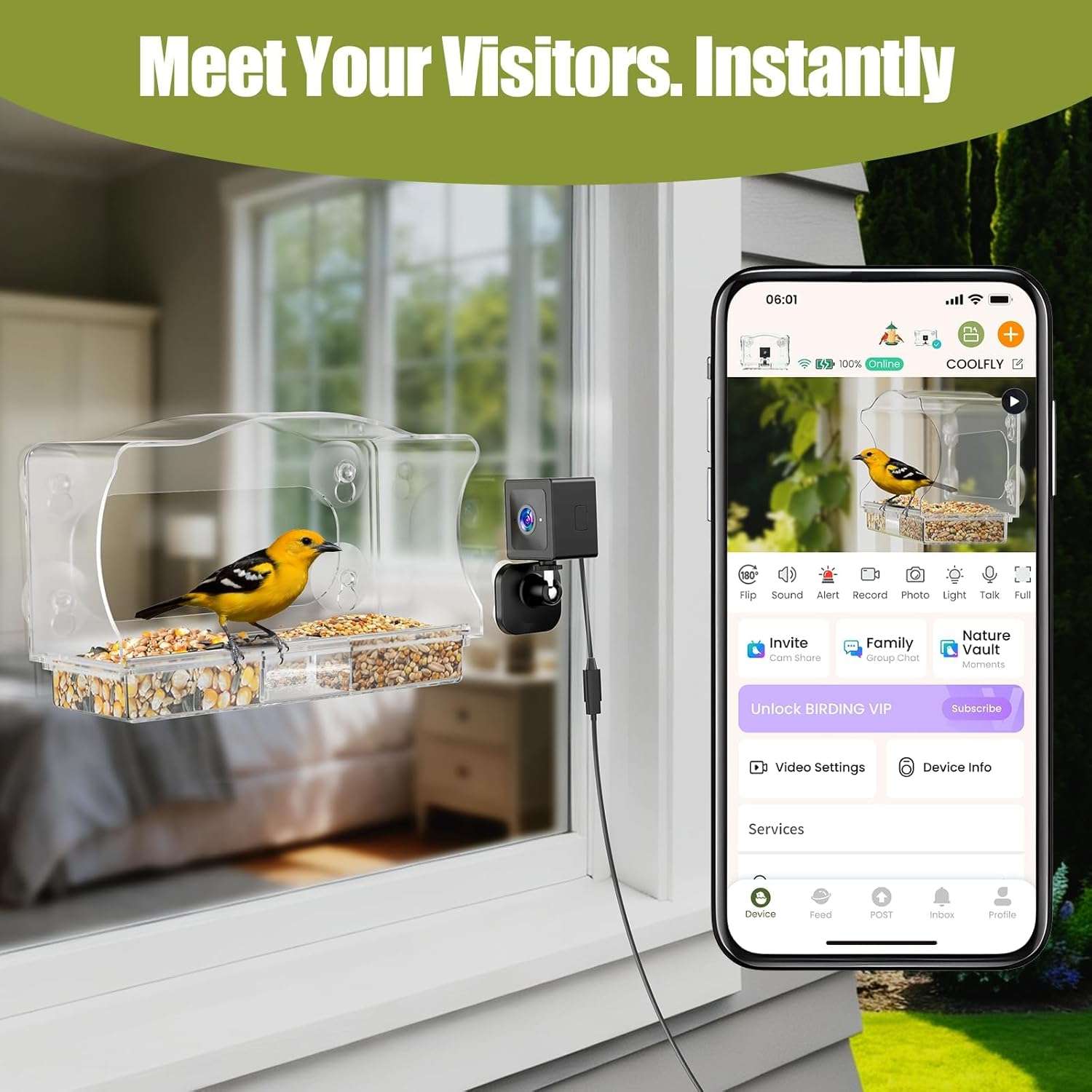 Comedero Inteligente Para Pajaros Con Camara Ventana HD 2K - Imagen 5