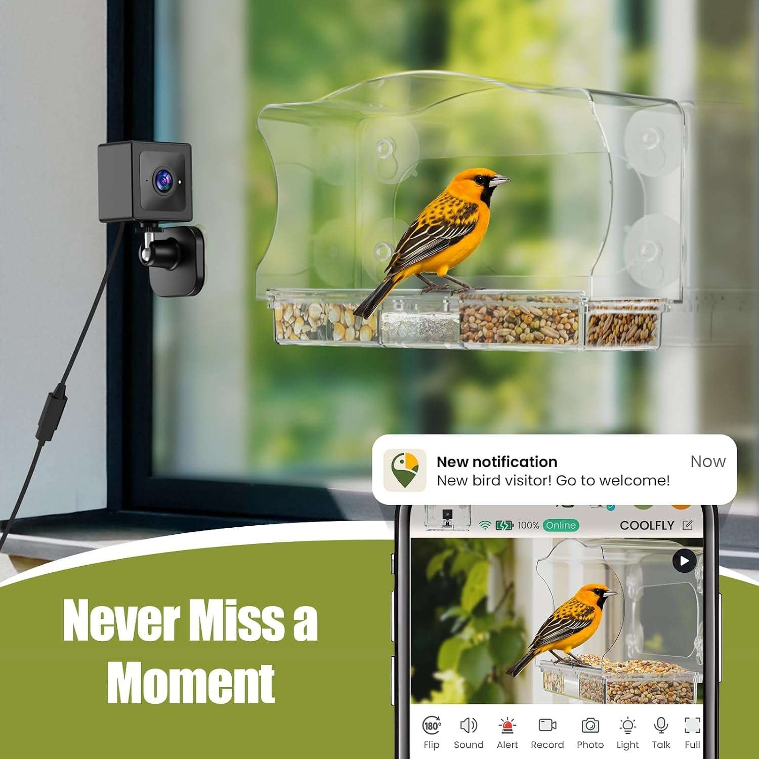 Comedero Inteligente Para Pajaros Con Camara Ventana HD 2K - Imagen 2
