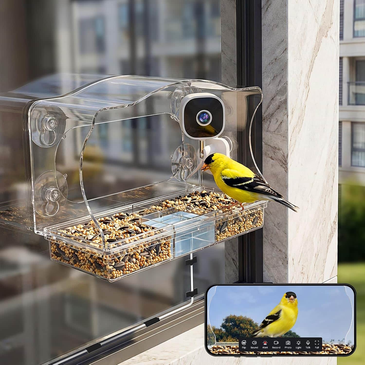 Comedero Inteligente Para Pajaros Con Camara Ventana HD 2K - Imagen 9
