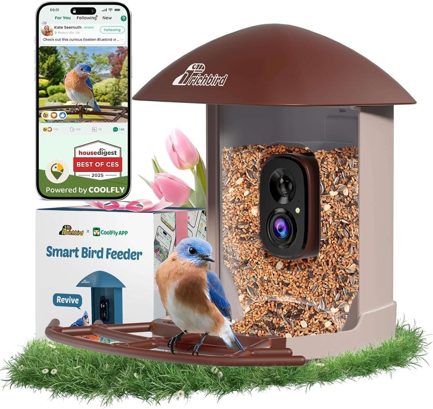 comedero inteligente para pajaros con camara wifi energia solar y aplicacion movil