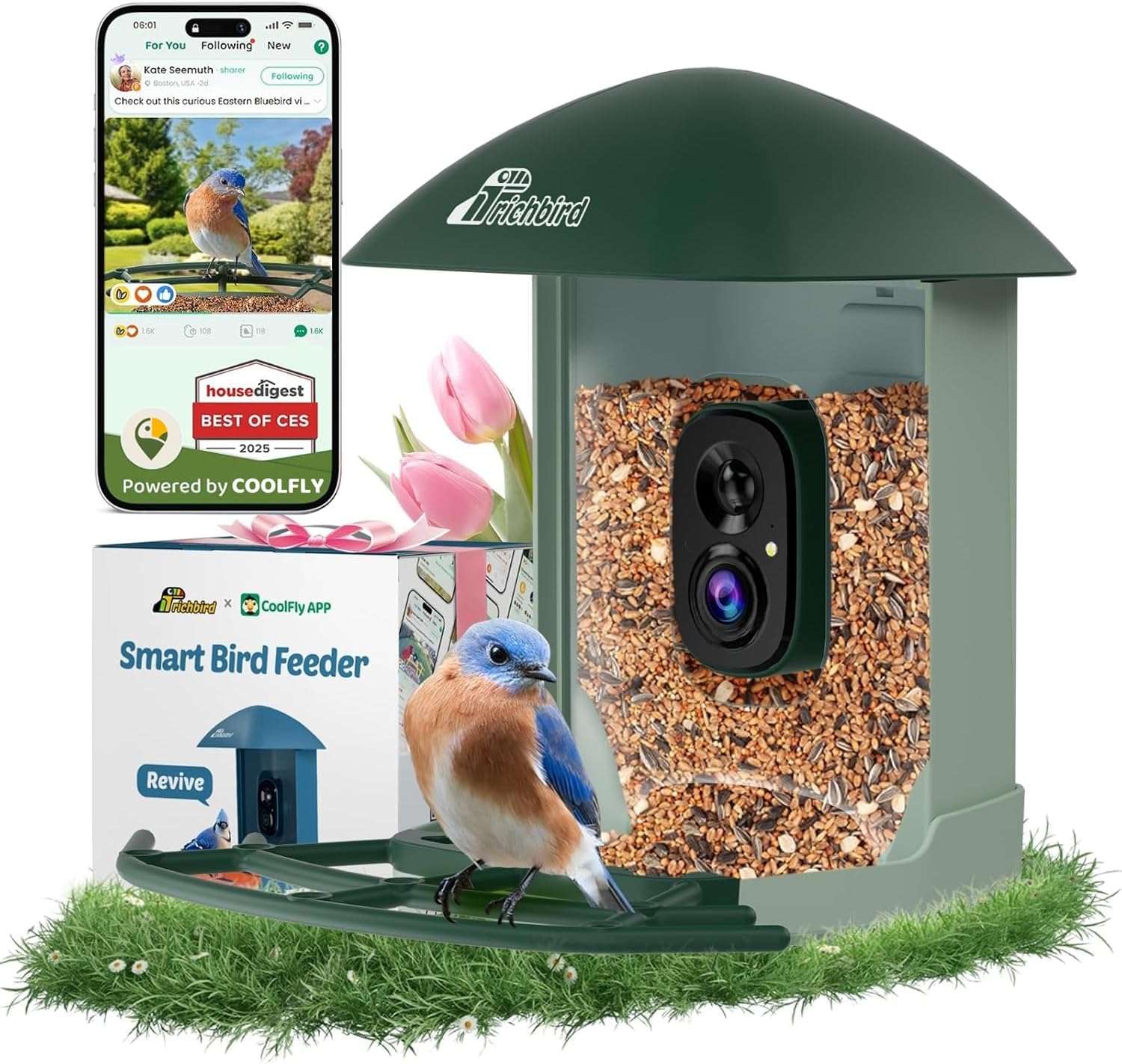 comedero inteligente para pajaros con camara wifi energia solar y aplicacion movil