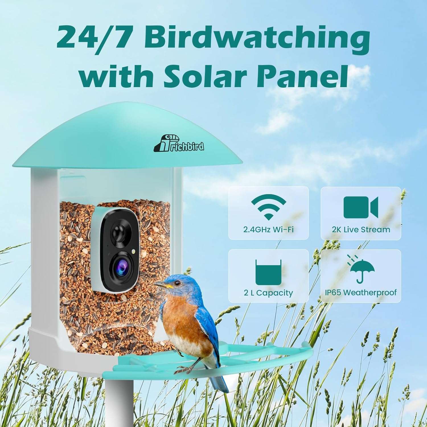 comedero inteligente para pajaros con camara wifi energia solar y aplicacion movil