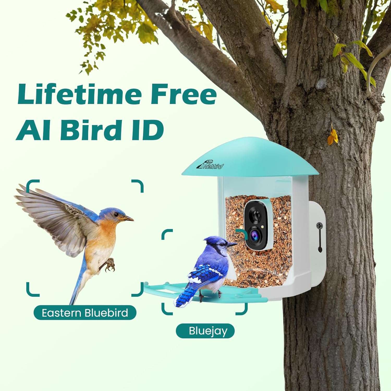 comedero inteligente para pajaros con camara wifi energia solar y aplicacion movil