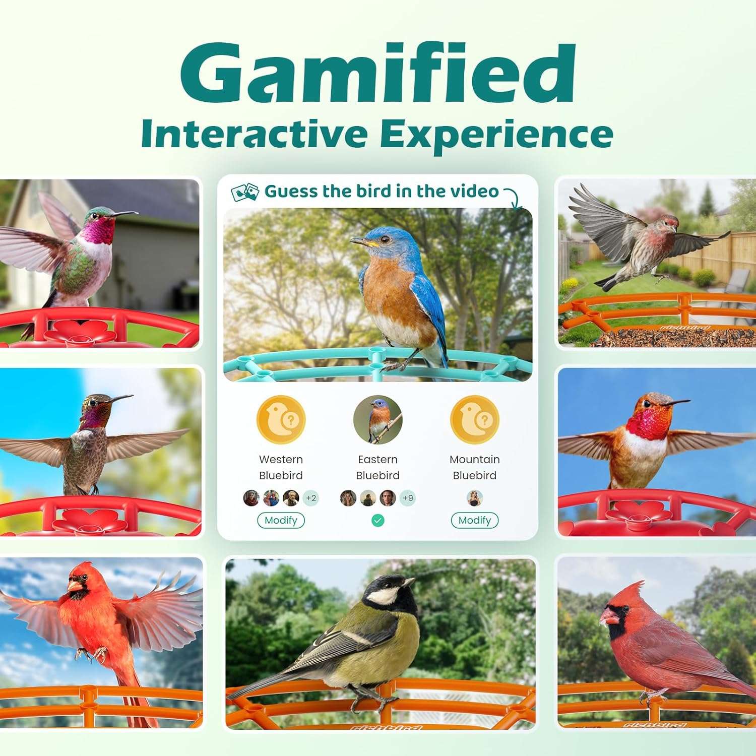 Comedero Inteligente Para Pajaros Con Camara Wifi Y Panel Solar - Imagen 5