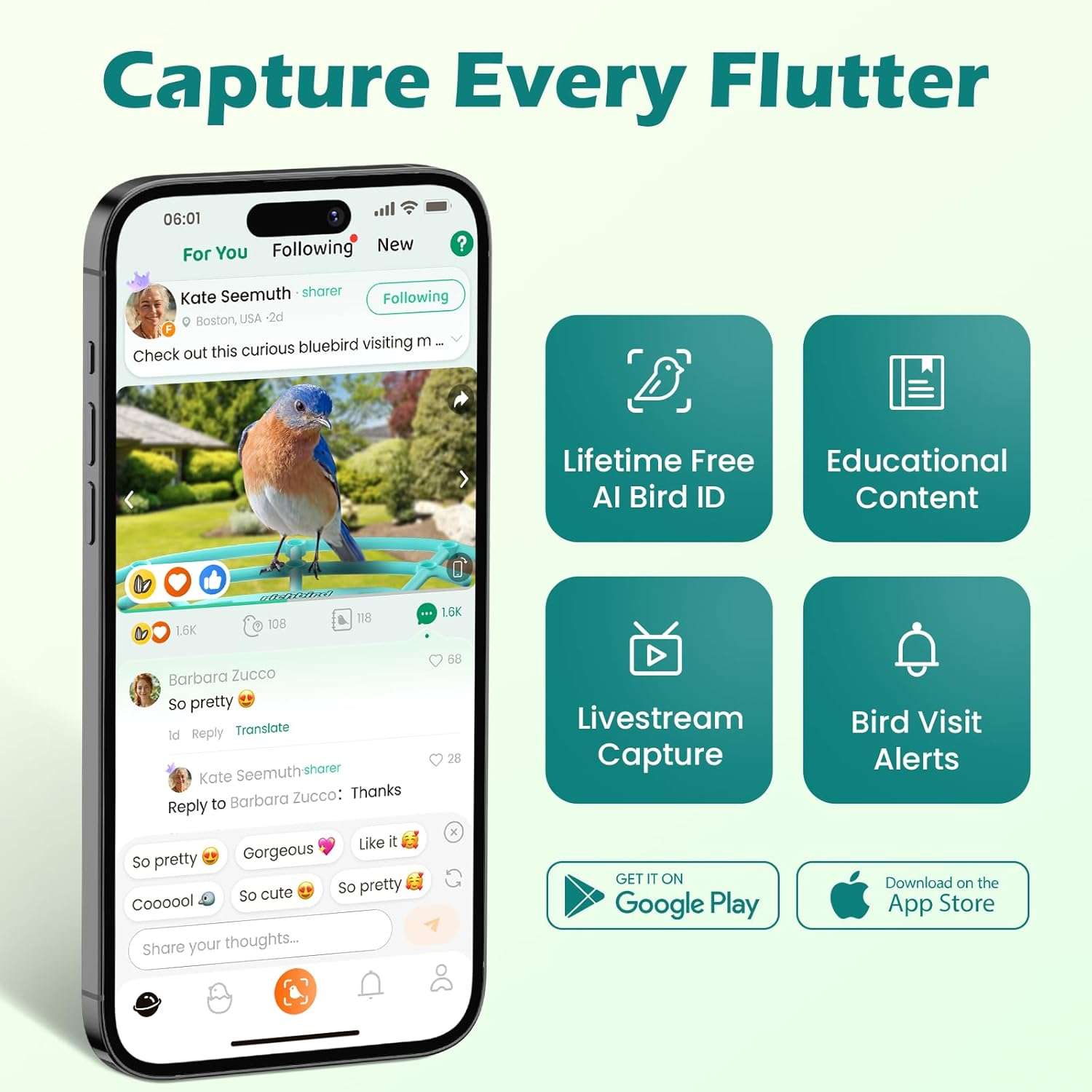 comedero inteligente para pajaros con camara wifi energia solar y aplicacion movil