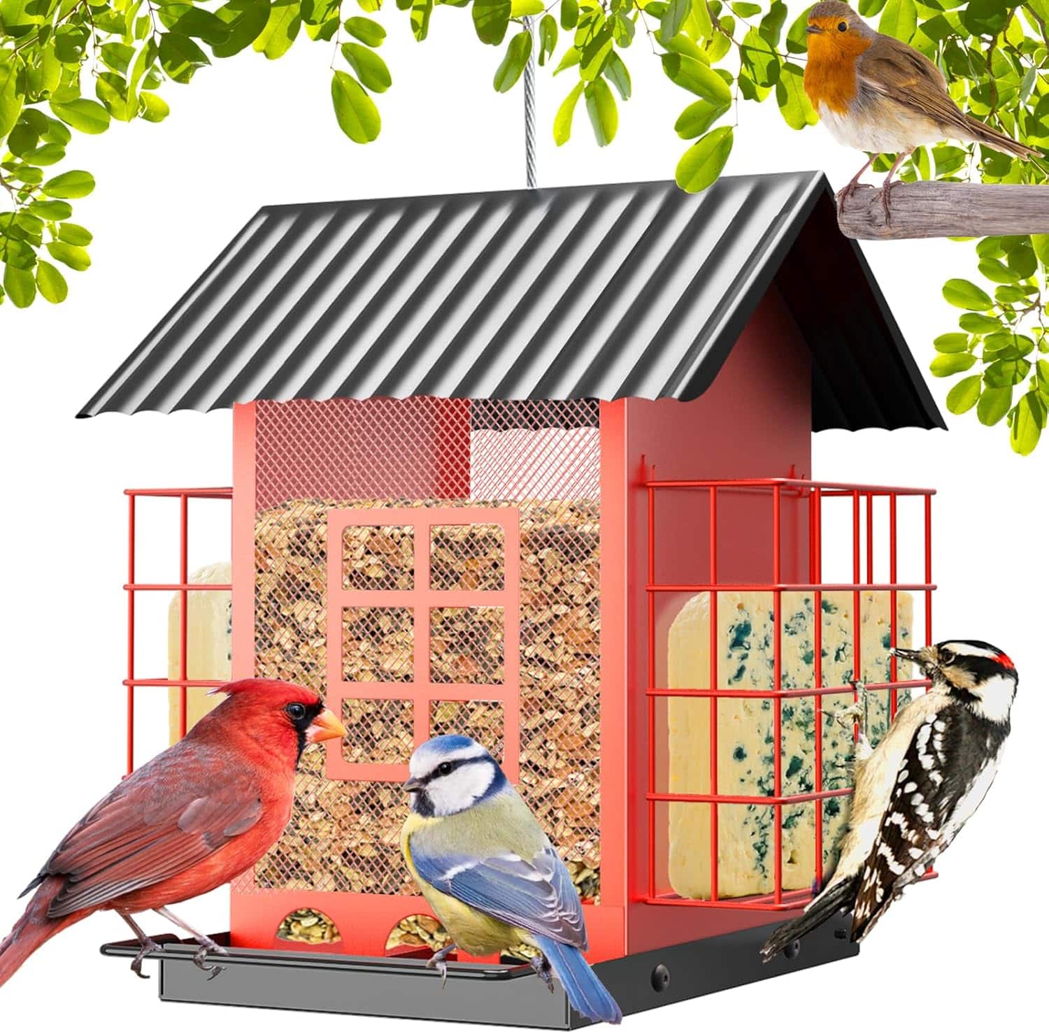 Comedero Metalico Para Pajaros Exterior Doble Jaula 1.68 kg - Imagen 11