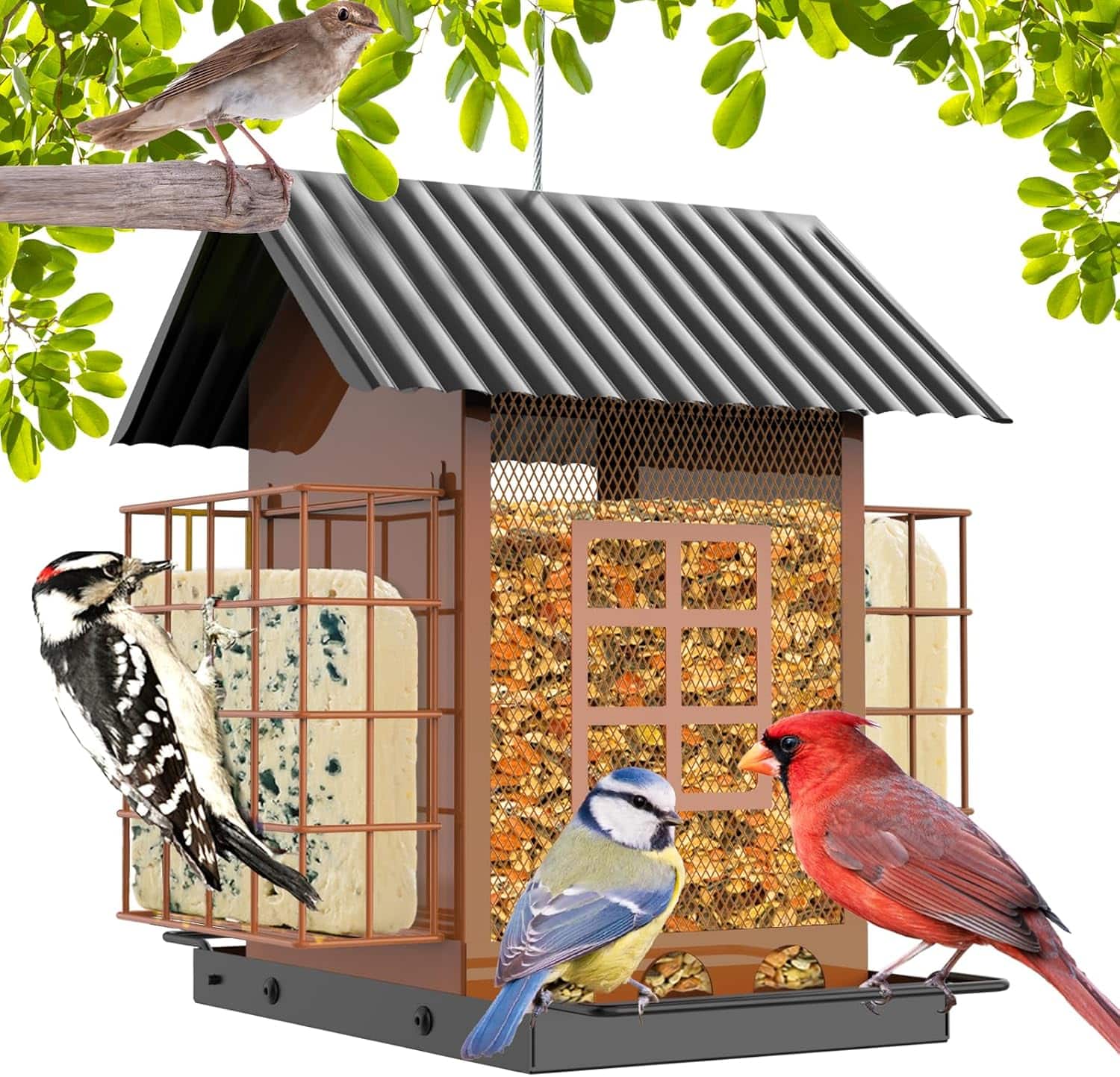 Comedero Metalico Para Pajaros Exterior Doble Jaula 1.68 kg - Imagen 12