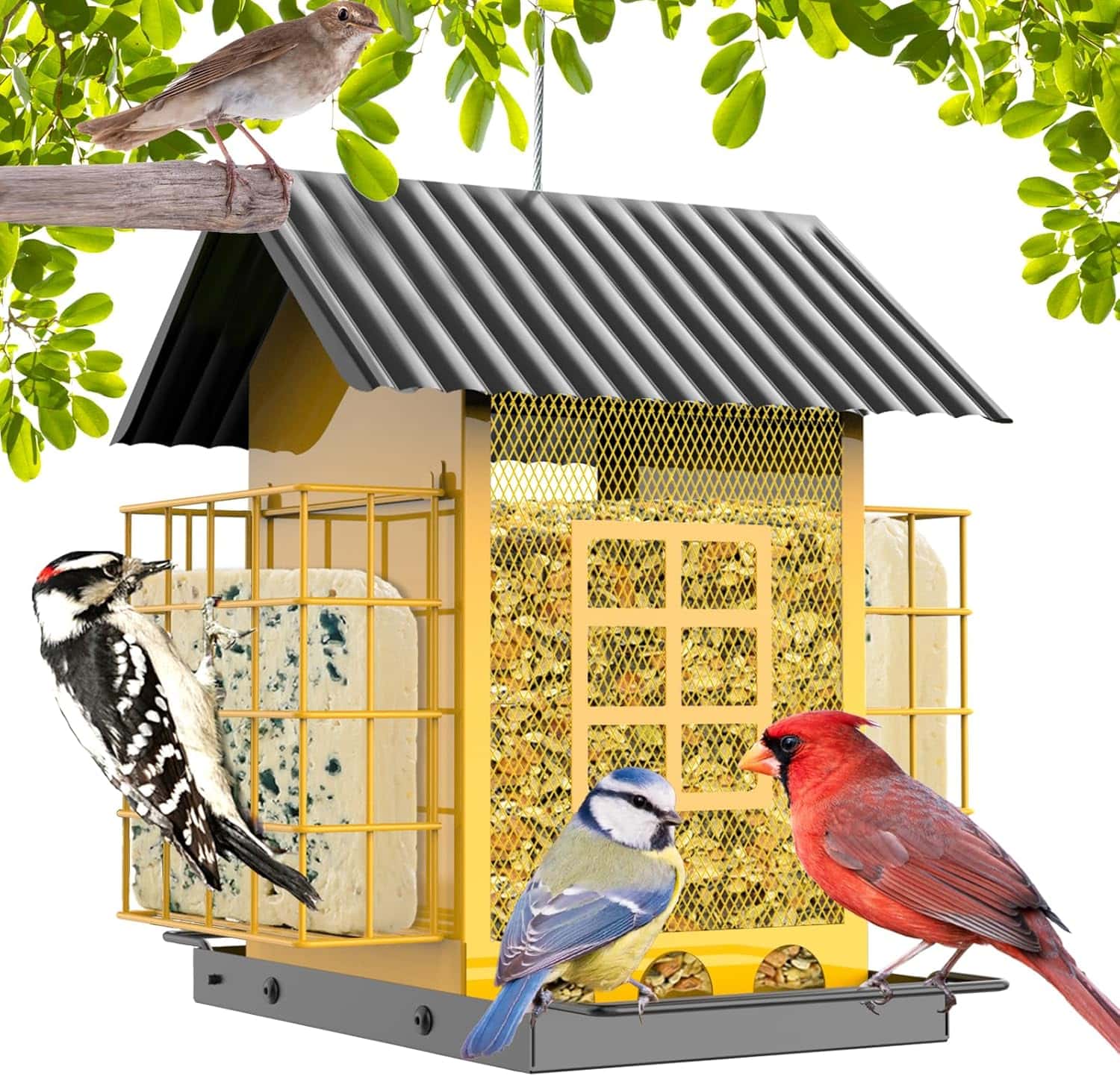 Comedero Metalico Para Pajaros Exterior Doble Jaula 1.68 kg - Imagen 10
