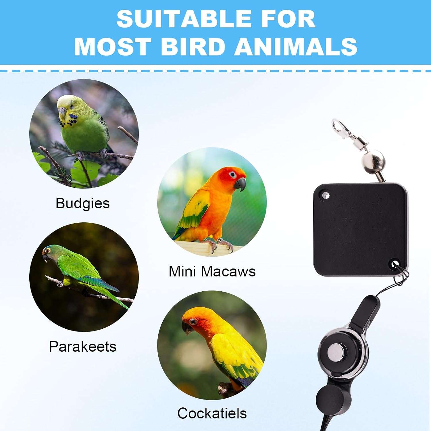Correa De Vuelo Para Loros Y Pajaros Acero Inoxidable 199 cm - Imagen 2
