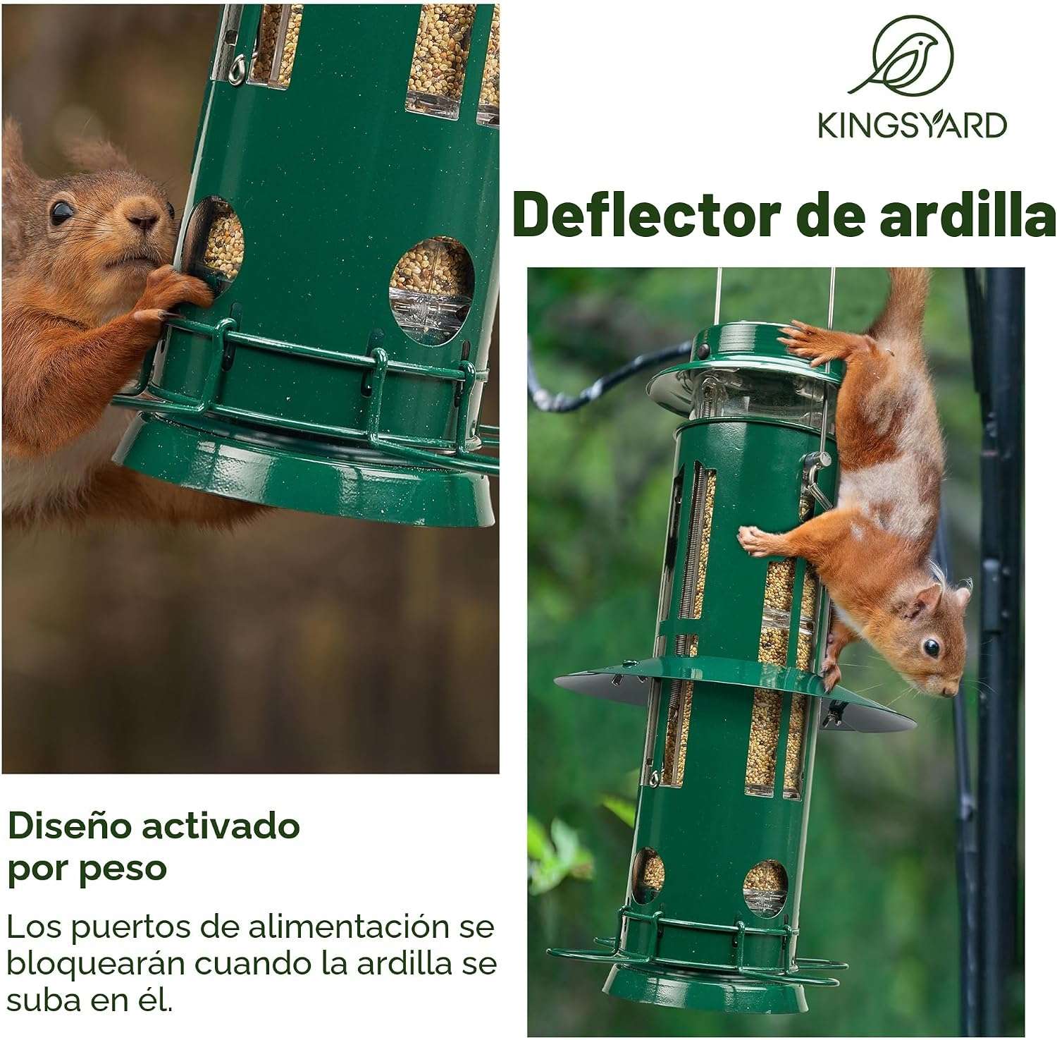 Dispensador De Semillas Aves Silvestres Jardin 1.36 Kg anti ardillas - Imagen 6